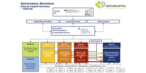 structuur-natuur-milieu-advies.jpg