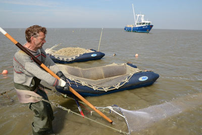 naar een rijke waddenzee waddenvisser