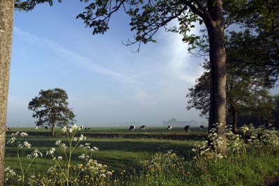 reitdiep gebied humsterland natuurmilieu advies