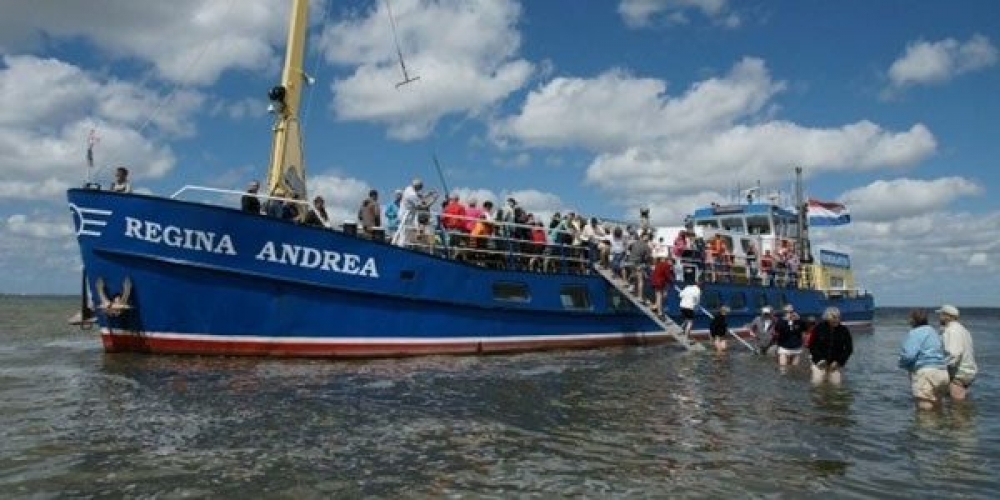 Programma naar een Rijke Waddenzee