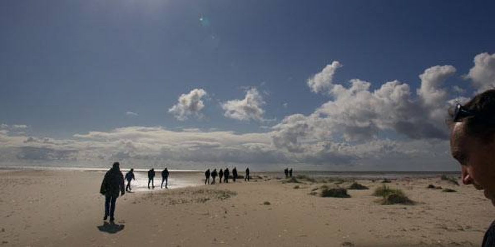 Coalitie Wadden Natuurlijk (Werelderfgoed Waddenzee)